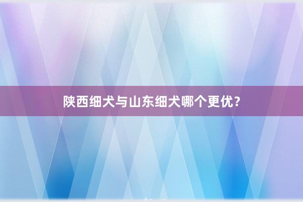 陕西细犬与山东细犬哪个更优？